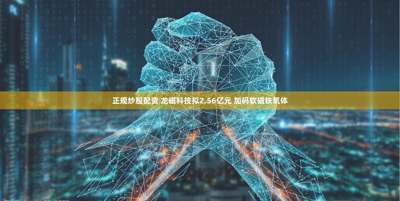 正规炒股配资 龙磁科技拟2.56亿元 加码软磁铁氧体
