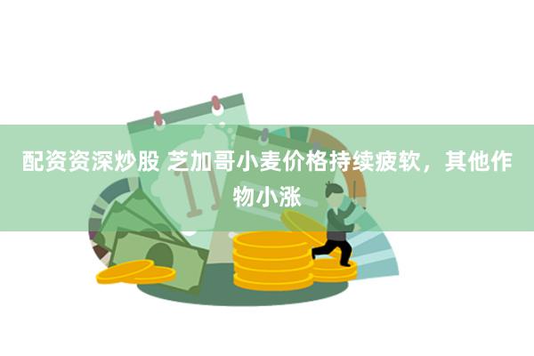 配资资深炒股 芝加哥小麦价格持续疲软，其他作物小涨