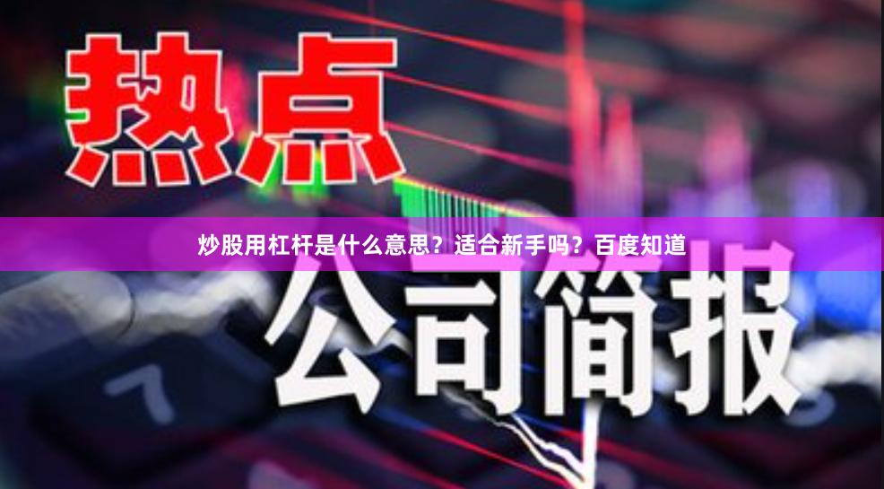 炒股用杠杆是什么意思?适合新手吗?百度知道